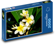Plumeria - flower, bush Puzzle 2000 pieces - 90 x 60 cm
