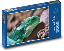 Iguana - reptile, lizard Puzzle 2000 pieces - 90 x 60 cm