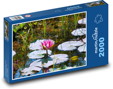 Lilia wodna - oczko wodne, kwiat wodny Puzzle 2000 elementów - 90x60 cm
