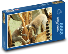 Affe - Makake, Zoo Puzzle 2000 Teile - 90 x 60 cm
