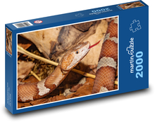 Had - zvíře, plaz Puzzle 2000 dílků - 90 x 60 cm