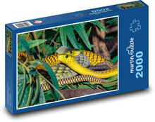 Mamba - wąż, zwierzę Puzzle 2000 elementów - 90x60 cm