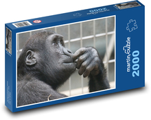 Monkey - zoo, primate Puzzle 2000 pieces - 90 x 60 cm