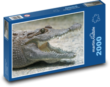Krokodyl - gad, zwierzę Puzzle 2000 elementów - 90x60 cm