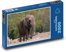 Elefant - Afrika, Säugetier Puzzle 2000 Teile - 90 x 60 cm
