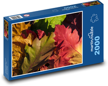 Listy stromu - jeseň, príroda Puzzle 2000 dielikov - 90 x 60 cm