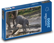 Elefant - Jungtier, Zoo Puzzle 2000 Teile - 90 x 60 cm