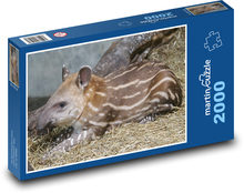 Tapir - zwierzę, młode Puzzle 2000 elementów - 90x60 cm
