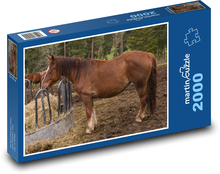 Hnedý kôň - farma, vidiek Puzzle 2000 dielikov - 90 x 60 cm