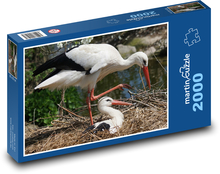 Čáp bílý - hnízdo, mládě Puzzle 2000 dílků - 90 x 60 cm