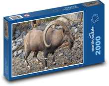 Steinbock - Tier, Hörner Puzzle 2000 Teile - 90 x 60 cm