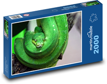 Schlange - Reptil - giftig Puzzle 2000 Teile - 90 x 60 cm