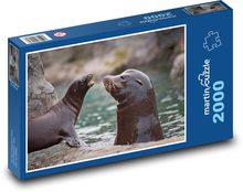 Seelöwe - Wassertier, Jungtier Puzzle 2000 Teile - 90 x 60 cm