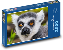 Affe - Lemur, Tier Puzzle 2000 Teile - 90 x 60 cm