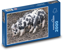 Domestic pig - piglet, cub Puzzle 2000 pieces - 90 x 60 cm
