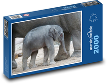 Asijský slon - mládě, savec Puzzle 2000 dílků - 90 x 60 cm