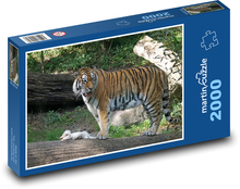 Tygr - dravec, velká kočka Puzzle 2000 dílků - 90 x 60 cm