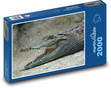 Krokodýl - ještěr, zuby Puzzle 2000 dílků - 90 x 60 cm