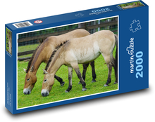 Przewalski-Pferd - wild, Tier Puzzle 2000 Teile - 90 x 60 cm