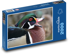 Kačica - vták, zviera Puzzle 2000 dielikov - 90 x 60 cm