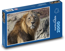 Lev - dravec, šelma Puzzle 2000 dílků - 90 x 60 cm