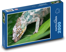Chamelon - jašterica, zviera Puzzle 2000 dielikov - 90 x 60 cm
