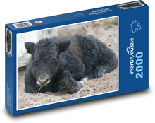 Jak - zwierzak, cielę Puzzle 2000 elementów - 90x60 cm