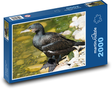 Kormorán - vodní pták, zoo Puzzle 2000 dílků - 90 x 60 cm