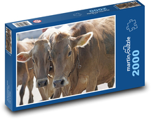 Kráva - domácí zvíře, farma Puzzle 2000 dílků - 90 x 60 cm
