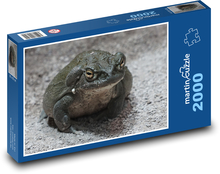 Ropucha - žába, zvíře Puzzle 2000 dílků - 90 x 60 cm
