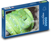 Zielony pyton - wąż, zwierzę Puzzle 2000 elementów - 90x60 cm