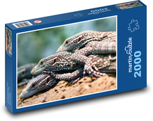 Varan - jaszczurka, Puzzle 2000 elementów - 90x60 cm