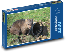 Wombat - zviera, zoo Puzzle 2000 dielikov - 90 x 60 cm