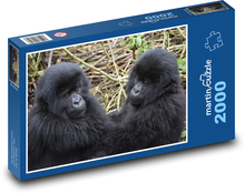 Gorilla - Jungtier, Tiere Puzzle 2000 Teile - 90 x 60 cm