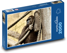 Gorilla - Affe, Tier Puzzle 2000 Teile - 90 x 60 cm