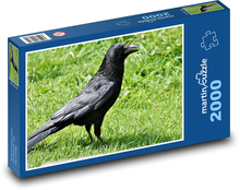 Havran - vták, zviera Puzzle 2000 dielikov - 90 x 60 cm