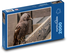 Havran - vták, zviera Puzzle 2000 dielikov - 90 x 60 cm