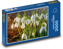 Snowdrops - white flowers, spring Puzzle 2000 pieces - 90 x 60 cm