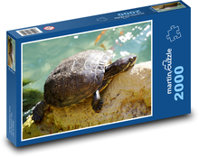 Żółw - gad, zwierzę Puzzle 2000 elementów - 90x60 cm