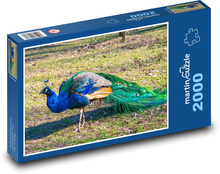 Paw - ptak, zwierzę Puzzle 2000 elementów - 90x60 cm