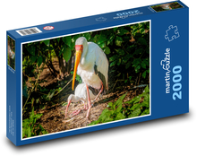 Ibis - vták, zviera Puzzle 2000 dielikov - 90 x 60 cm