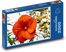 Červený ibišek - květ, zahrada Puzzle 2000 dílků - 90 x 60 cm