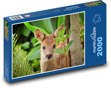 Fawn - deer, young Puzzle 2000 pieces - 90 x 60 cm