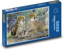 Cheetah - Wildcat, Africa Puzzle 2000 pieces - 90 x 60 cm
