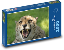 Gepard s otevřenou tlamou Puzzle 2000 - 90x60 cm
