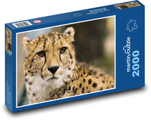 Gepard - divoké zviera, zoo Puzzle 2000 dielikov - 90 x 60 cm