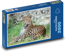 Levhart - šelma, mačka Puzzle 2000 dielikov - 90 x 60 cm