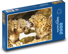 Leoparden - Katze, Zoo Puzzle 2000 Teile - 90 x 60 cm