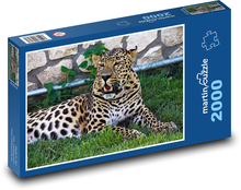 Lampart - kocia bestia, zoo Puzzle 2000 elementów - 90x60 cm