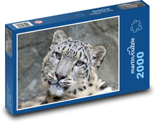 Leopard - animal, cat Puzzle 2000 pieces - 90 x 60 cm